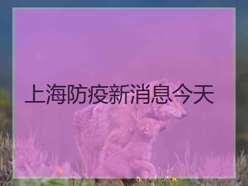 上海防疫新消息今天