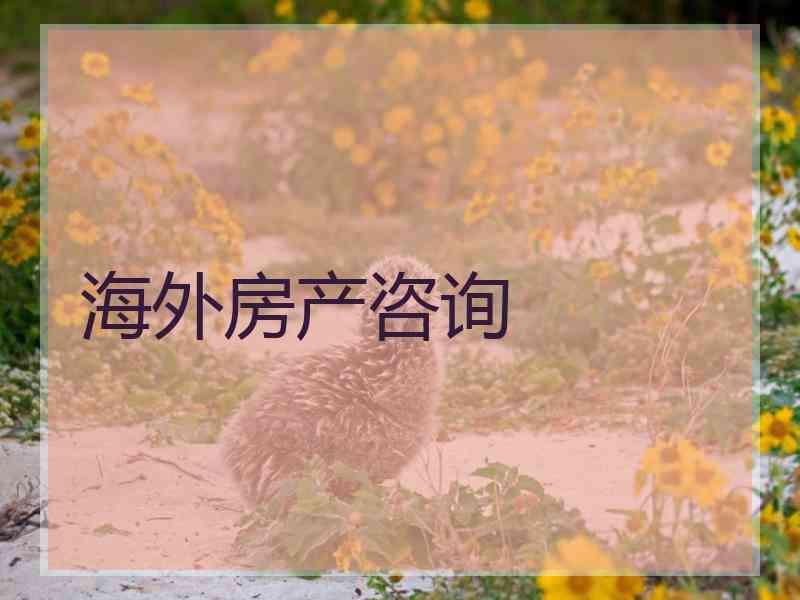 海外房产咨询