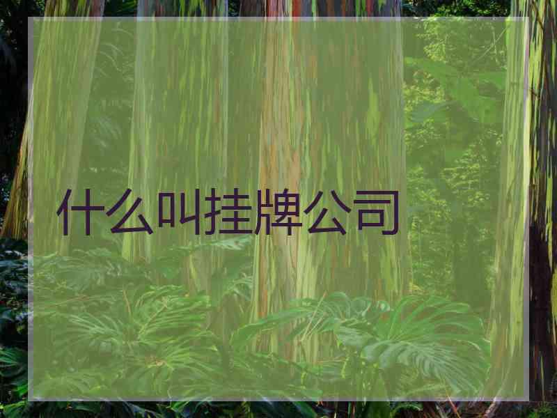 什么叫挂牌公司