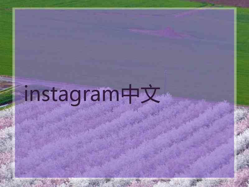 instagram中文