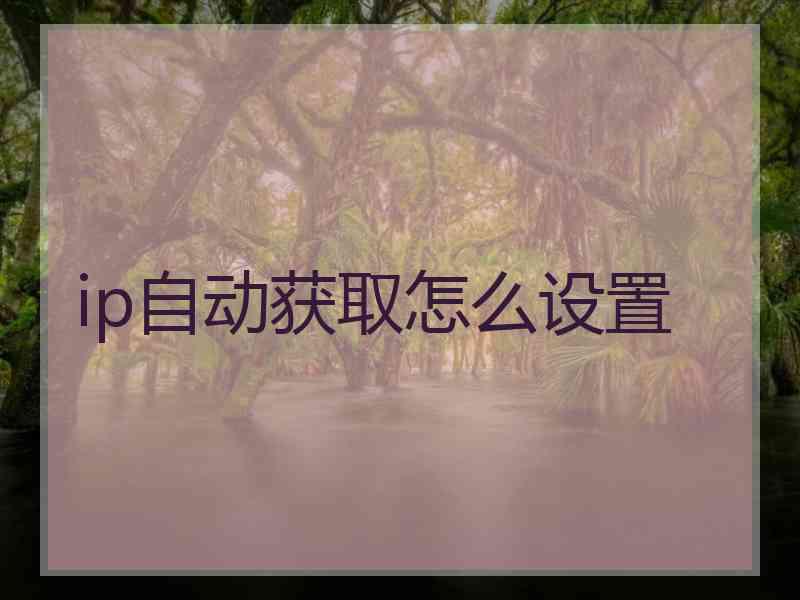 ip自动获取怎么设置
