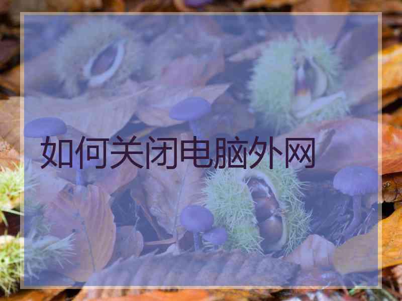 如何关闭电脑外网